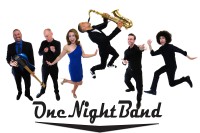 Oak Park Concert- One Night Band